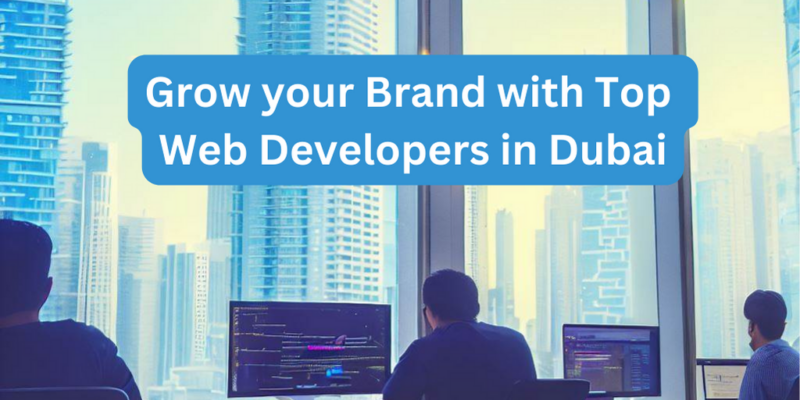 Navigating the Digital Desert: Dubai's Website Development Trends